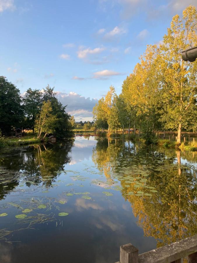 مبيت وإفطار Saint-Aubin-des-Landes Le Moulin De Bretigneul المظهر الخارجي الصورة